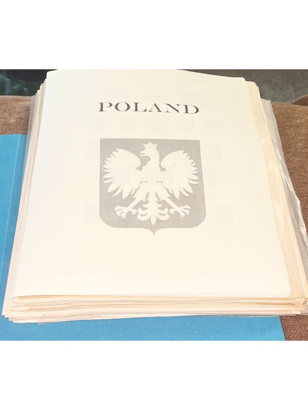 Poland Stamp Collection 16134 Vintage Stamps 1919-1976 Early Poland Airmail Post